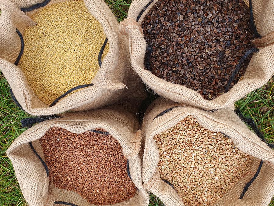 Uprawy i praktyki ekologiczne na polach