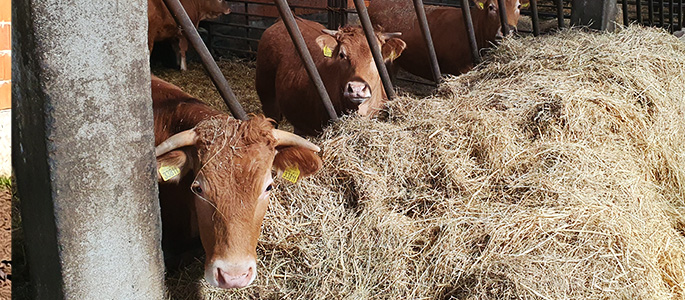 Nowe inwestycje w gospodarstwie